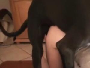 Forbidden meeting: woman and dog