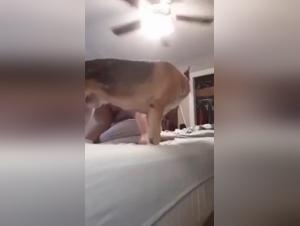 Mature woman and her dog: a beastly experience before bed