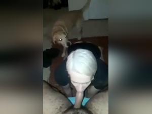 Intense moments with dogs