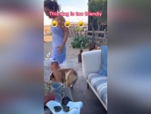 Bestiality Sex Video: Teen female dog and Dog