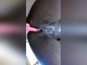 Explorando los limites de Artofzoo