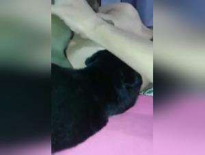 Sex with hungry dogs