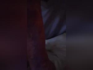 El lado oscuro: Zoofilia expuesta