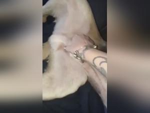 An Intimate and Bestial Encounter