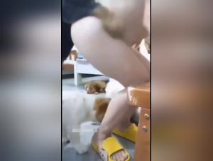 Bestiality: an Asian in a kennel