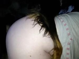 Momente intensiven Spasses mit Hunden