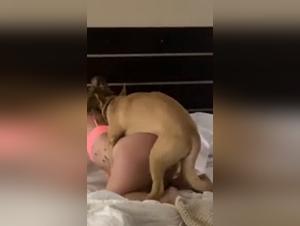 Pigs Gone Wild: XXX Fornication for Maximum Thrill