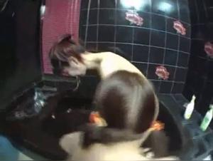 Intimate Video with a Dog