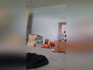 Bestiality Video: A Woman and Her Best Friend