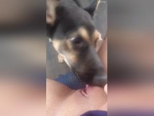 Bestiality: a milf and her dog