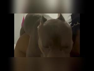 woman and her pitbull