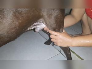 Breaking Taboo Boundaries