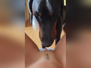 Woman and her dog: a shocking bestiality video