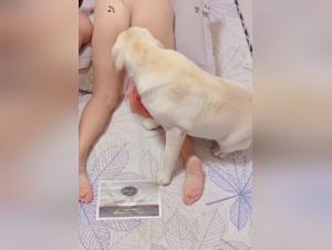 Forbidden meeting: woman and dog