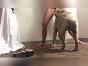 Taking Care of Mom - Bestiality Video