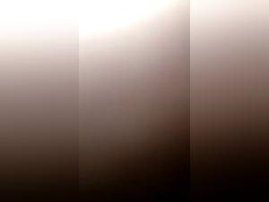 Bestiality: a woman and her dog in a shocking video