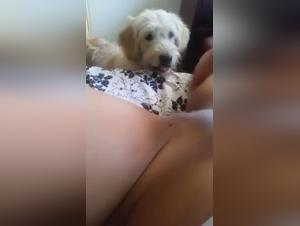 Man's Best Friend: The Ultimate Sexual Companion