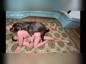 Drawing the Line: Artofzoo and Animal Welfare