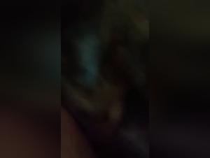 Introduction to bestiality: a woman and a dog