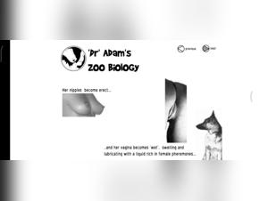 Guide to Zoophilia: Version 1 - Sex Videos with Animals