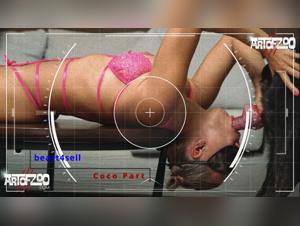 decodant l'art de coco artofzoo