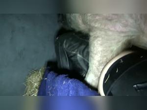 Mas Alla de los Limites: Deseos Vetados