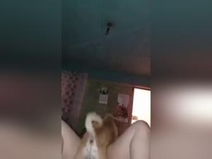 Bestiality Stories: The Sexiest and Saliciest Tales of Human-Animal Encounters