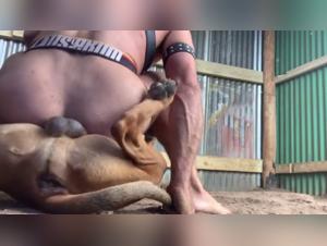 Bestiality sex: Man and dog in extreme scenes
