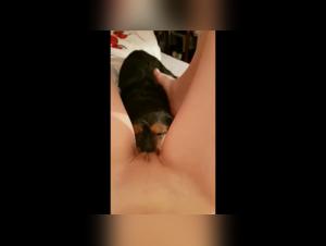 Sex video with a dog - Bestiality and zoophilia