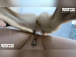 La puta salvaje que busca sexo con su mascota, una experiencia unica y sin igual