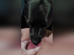 Bestiality sex video: A young girl and her dog