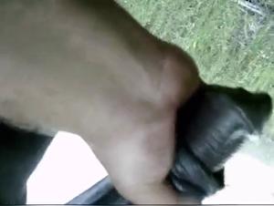 Delving into Zoological Sexual Taboos