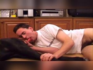 animal porn beastiality