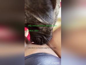 Forbidden Love: Bestiality and Dog Sex Videos