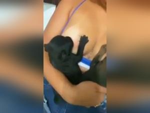Feeding a puppy: a hardcore zoophilia scene