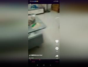 International zoophilia resources