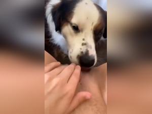 Forbidden Zoo Immersion: Unveiled Experiences