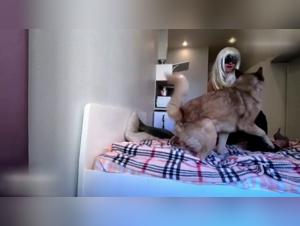 Bestiality: First time with a dog