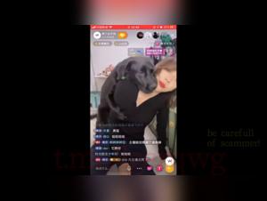 Asian woman and her dog in bestiality video