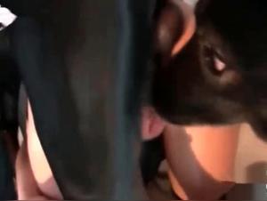 Bestial sex video: a woman with two dogs
