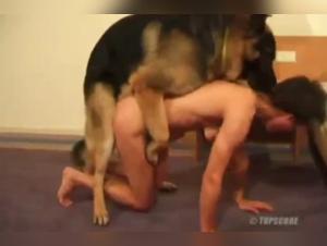 Forbidden Meeting: Woman and Dog