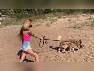 Extreme Bestiality: Girl Loses It While Screwing Her Dog in Ecstasy