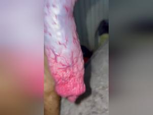 Wild and Sensual Encounter: An Intense Zoophilia Experience