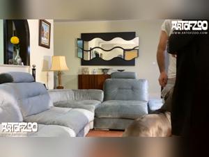 Women and Cats Bestiality: Pussy and Cat Sex Obsession with Alisonprod