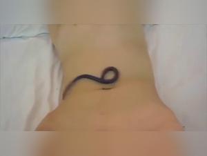 Video of extreme zoophilia: giant worm in canine intimacy