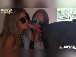 Double blowjob avec un chien - Vidéo de bestialité