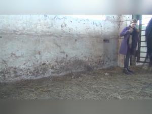 Nadia in a shocking zoophilia video