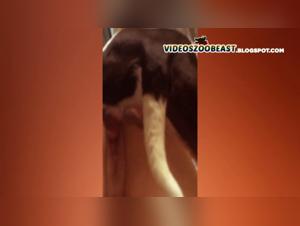 New blonde in her first beastly knot