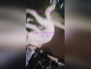 Exploring Ethical Boundaries in Animal Interactions