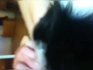 Bestiality sex video with a young woman and her dog